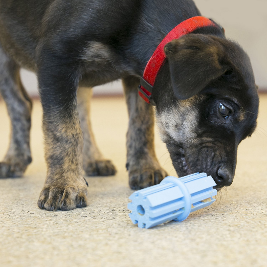 Teething stick 2024